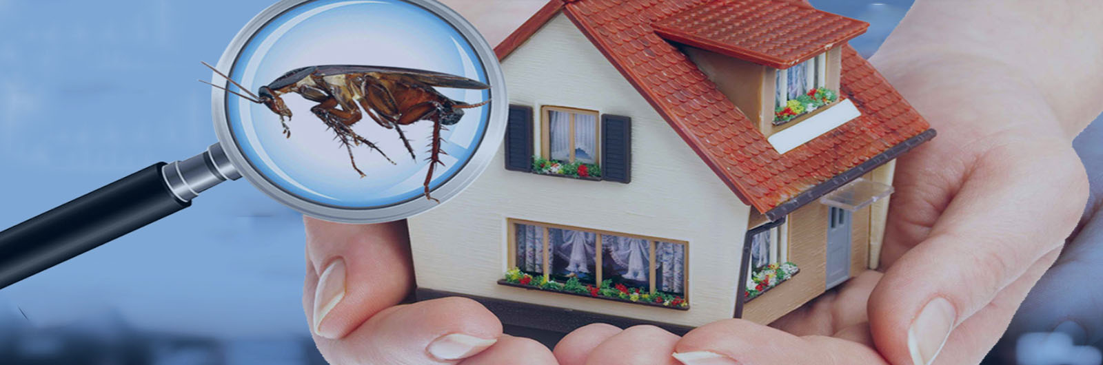 Domestic Pest Control Company , Residential Pest Control Company , Home Pest Control Company, House Pest Control Company 