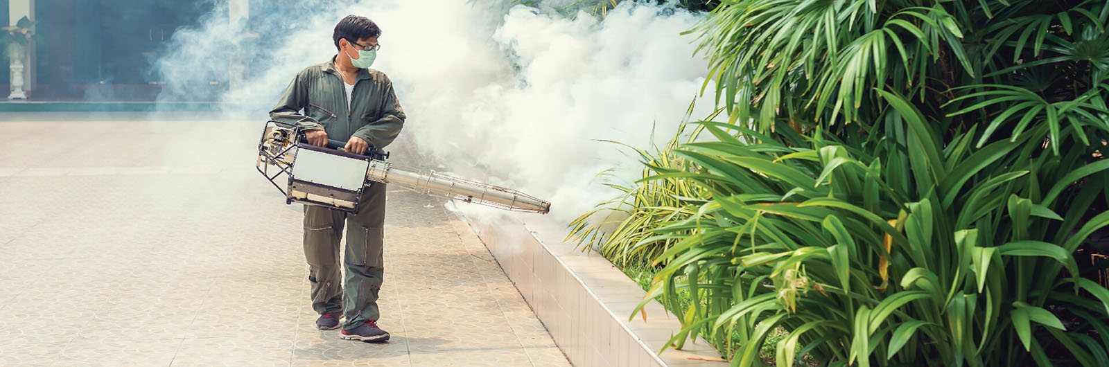 Commercial Pest Control Company , Shops Pest Control Company , Office Pest Control Company , Mall Pest Control Company 