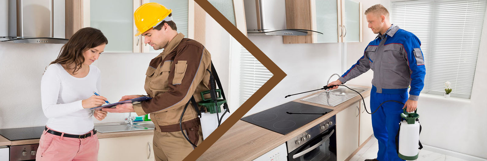 Commercial Pest Control Company , Shops Pest Control Company , Office Pest Control Company , Mall Pest Control Company 