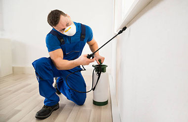 Home Pest Control Delhi, House Pest Control Delhi, Bundlow Pest Control Delhi, Floor Pest Control Delhi, Resident Pest Control Delhi, Basement Pest Control Delhi