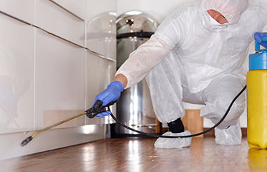 Commercial Pest Control Delhi, Shops Pest Control Delhi, Mall Pest Control Delhi, Godown Pest Control Delhi, Warehouse Pest Control Delhi, Store Pest Control Delhi